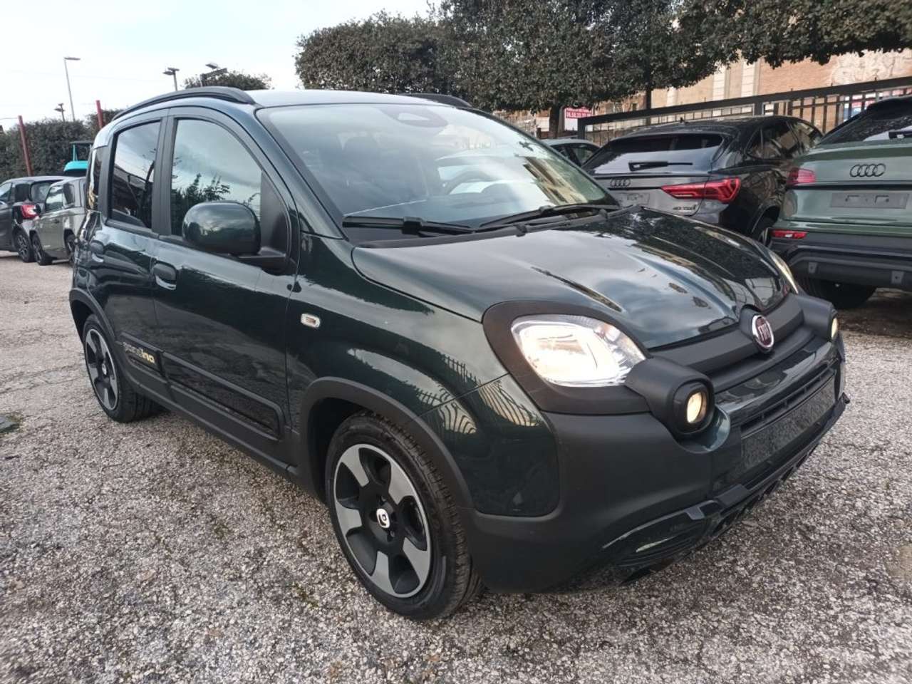 Fiat Panda 1000 HYBRID PANDINA 70 CV CARPLAY PDC ITALIA