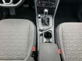 Volkswagen Tiguan 2.0TDI Life DSG 4M Navi LED AHK Gris - thumbnail 9