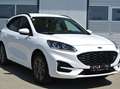 Ford Kuga 2.5 Duratec FHEV HEV  Aut. 4WD ** ST Line X ** Weiß - thumbnail 3