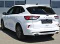 Ford Kuga 2.5 Duratec FHEV HEV  Aut. 4WD ** ST Line X ** Weiß - thumbnail 2