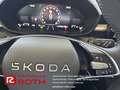 Skoda Fabia Fabia 1.0 TSI Selection OPF (EURO 6e) Autom./LED Gris - thumbnail 24