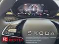 Skoda Fabia Fabia 1.0 TSI Selection OPF (EURO 6e) Autom./LED Gris - thumbnail 25