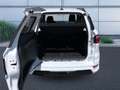 Ford EcoSport ST-Line Weiß - thumbnail 7