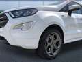 Ford EcoSport ST-Line Weiß - thumbnail 6