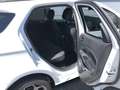 Ford EcoSport ST-Line Weiß - thumbnail 11