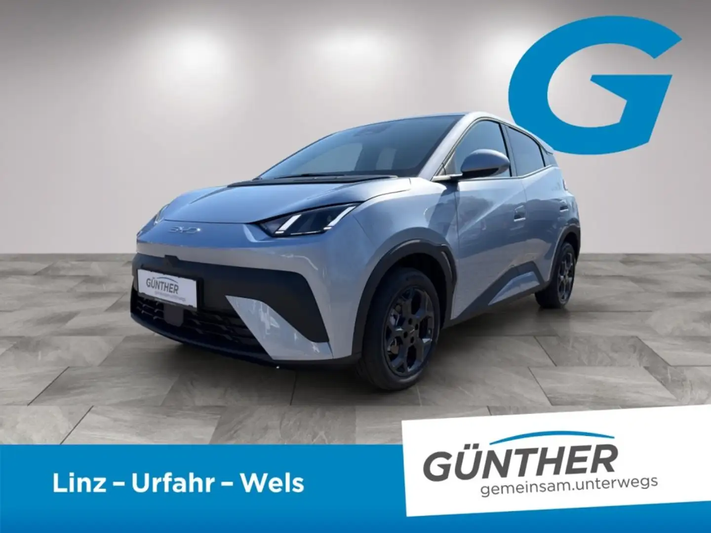 BYD Dolphin Surf Boost Blau - 1