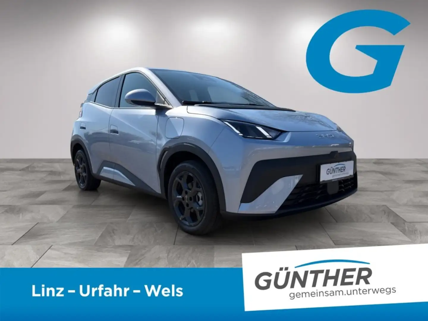 BYD Dolphin Surf Boost Blau - 2