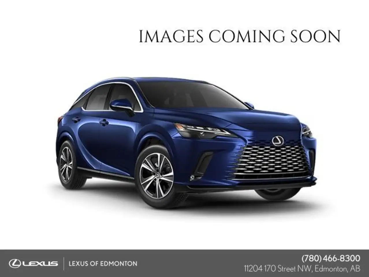 2024 Lexus RX
