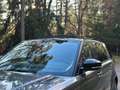 Land Rover Range Rover Sport S Luft Pano Kamera Grau - thumbnail 23