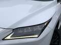Lexus RX 450h AWD F Sport Line Premium | Mark Levinson, Head up White - thumbnail 7