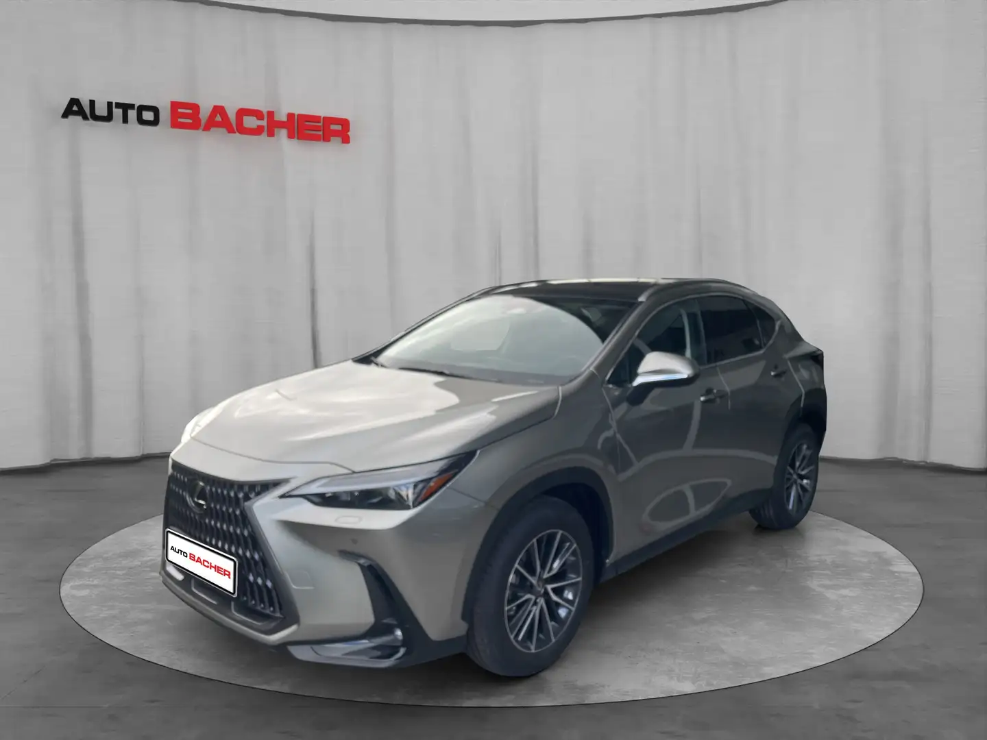 Lexus NX 350h Executive Line 244 PS 2WD Argent - 1