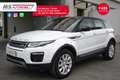 Land Rover Range Rover Evoque 2.0 eD4 5p. SE Navi Autocarro Unicoproprietario Bianco - thumbnail 12