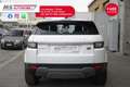 Land Rover Range Rover Evoque 2.0 eD4 5p. SE Navi Autocarro Unicoproprietario Bianco - thumbnail 8