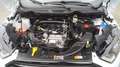 Ford EcoSport ST-Line 1,0 EcoBoost, NEUWERTIG, UNFALLFREI Weiß - thumbnail 32