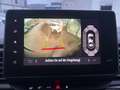 Renault Trafic Grand Evolution Blue dCi 150 +RFK+AHK Schwarz - thumbnail 17