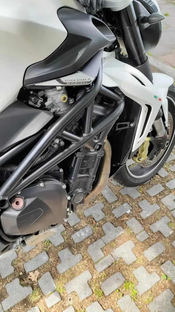 MV Agusta Brutale 920 Bianco - 2