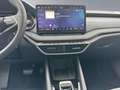 Skoda Octavia Combi 2.0TDI DSG Tour AHK Grau - thumbnail 15
