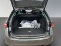 Skoda Octavia Combi 2.0TDI DSG Tour AHK Grau - thumbnail 19