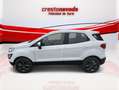 Ford EcoSport 1.0 EcoBoost Trend 100 Blanco - thumbnail 24