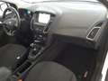 Ford Focus 1.5 TDCi 120cv Titanium *TAGLIANDI FORD* Bianco - thumbnail 9