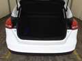 Ford Focus 1.5 TDCi 120cv Titanium *TAGLIANDI FORD* Bianco - thumbnail 13