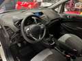 Ford EcoSport 1.5 TDCi 95 CV Plus Silber - thumbnail 10