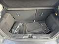 Ford Fiesta HYBRID Ecoboost 1.0 125cv TITANIUM Grigio - thumbnail 13