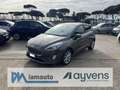Ford Fiesta HYBRID Ecoboost 1.0 125cv TITANIUM Grigio - thumbnail 1