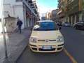 Fiat Panda Panda 1.2 Dynamic eco Amarillo - thumbnail 2
