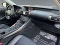 Lexus IS 300 III 300h Pack Business Schwarz - thumbnail 22