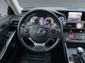 Lexus IS 300 III 300h Pack Business Schwarz - thumbnail 16
