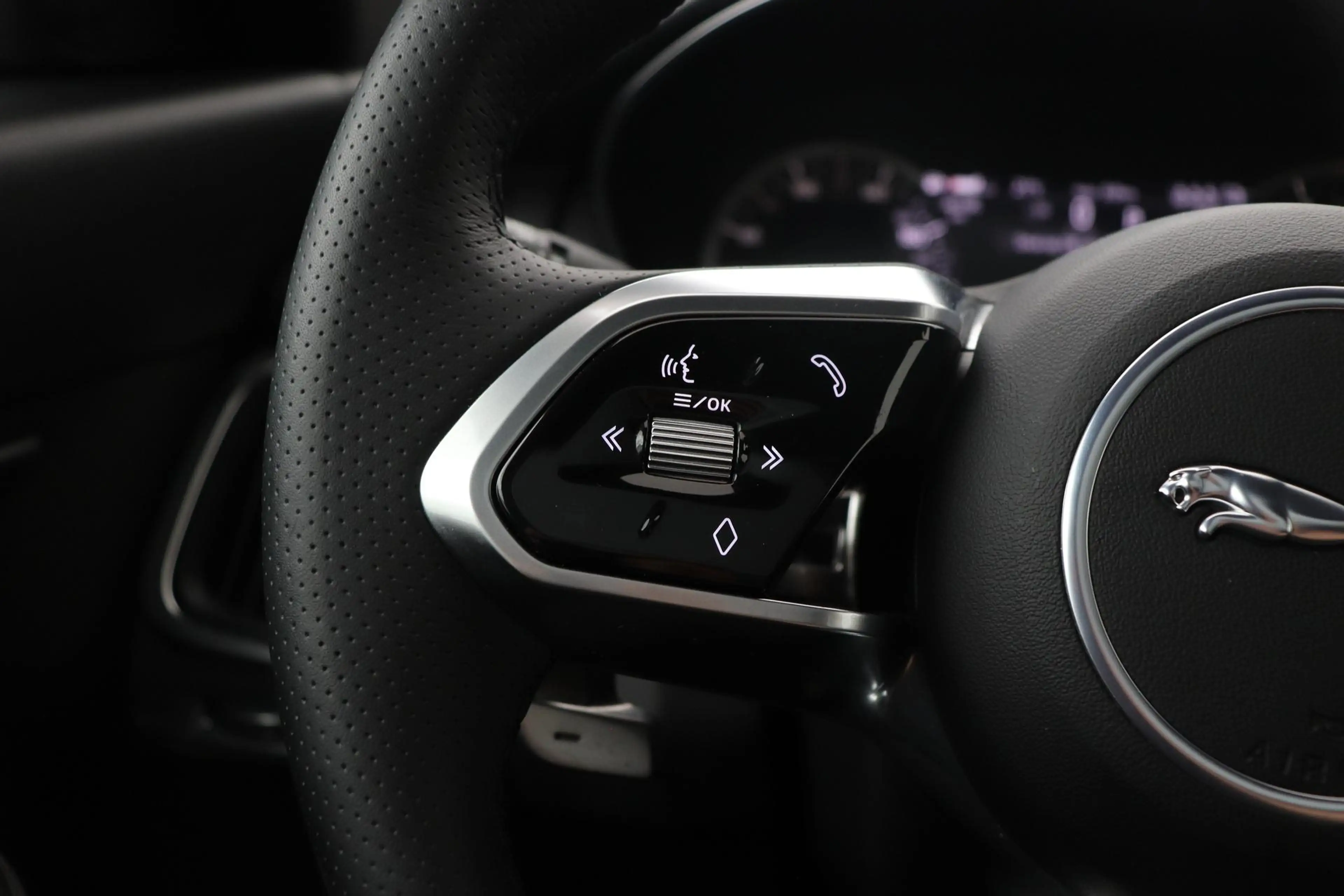 Jaguar E-Pace P300e R-Dynamic SE | Panoramadak | ACC | BLIS | Tr — photo 38