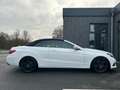 Mercedes-Benz E 250 E 250 Euro-6 Cabrio Navi Leder Led Sport Scheckh. Blanc - thumbnail 7