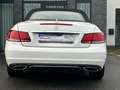 Mercedes-Benz E 250 E 250 Euro-6 Cabrio Navi Leder Led Sport Scheckh. Blanc - thumbnail 11