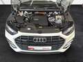 Audi Q5 50 TFSI e quattro S line AHK Matrix HuD B&O Weiß - thumbnail 15