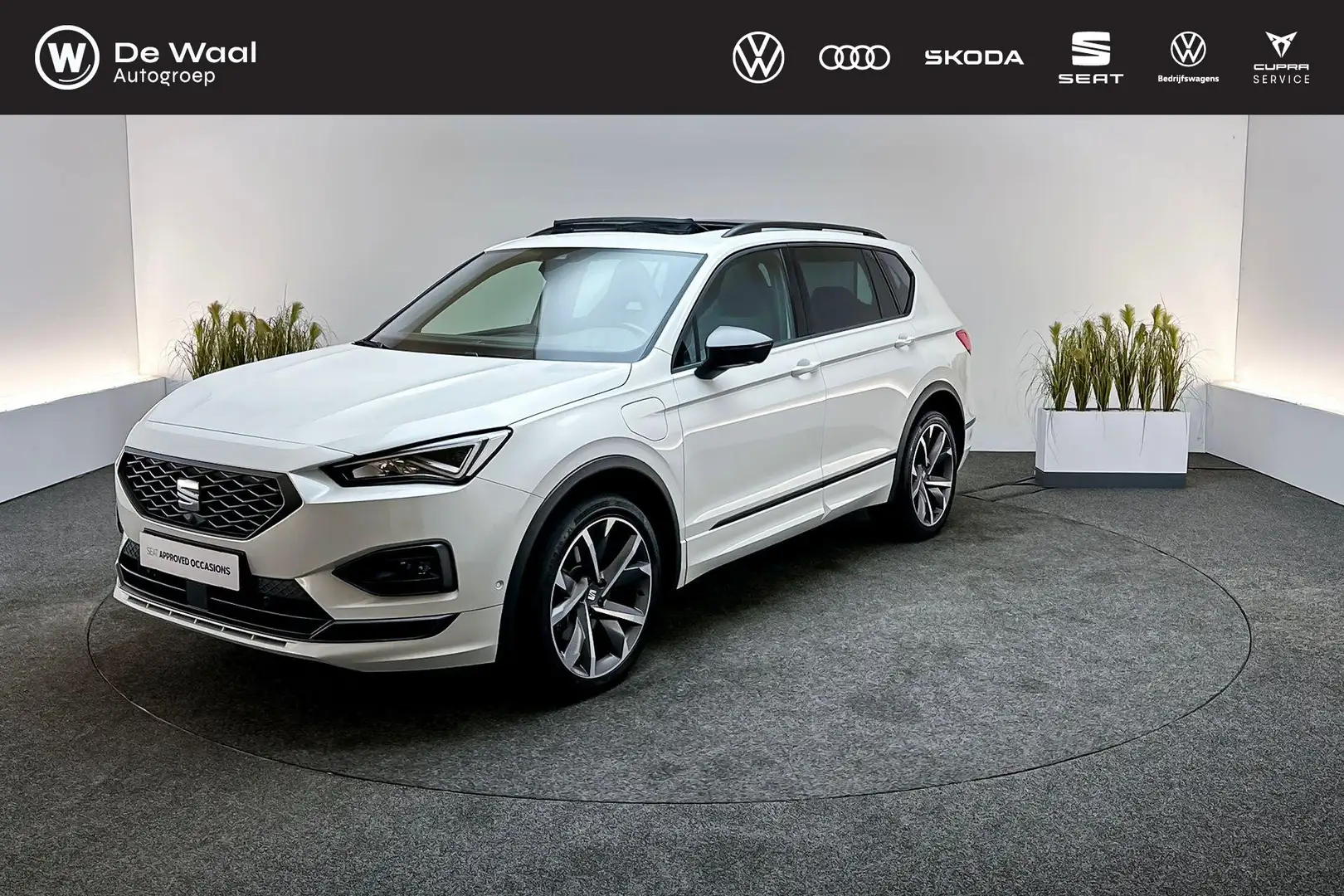 SEAT Tarraco 1.4 TSI 245pk DSG e-Hybrid PHEV | SoH 88%| Panoram Wit - 1