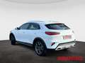 Kia XCeed 1.5 T-GDI DCT JBL-Edition ADAS- & TEC -Paket Weiß - thumbnail 3