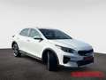 Kia XCeed 1.5 T-GDI DCT JBL-Edition ADAS- & TEC -Paket Weiß - thumbnail 8