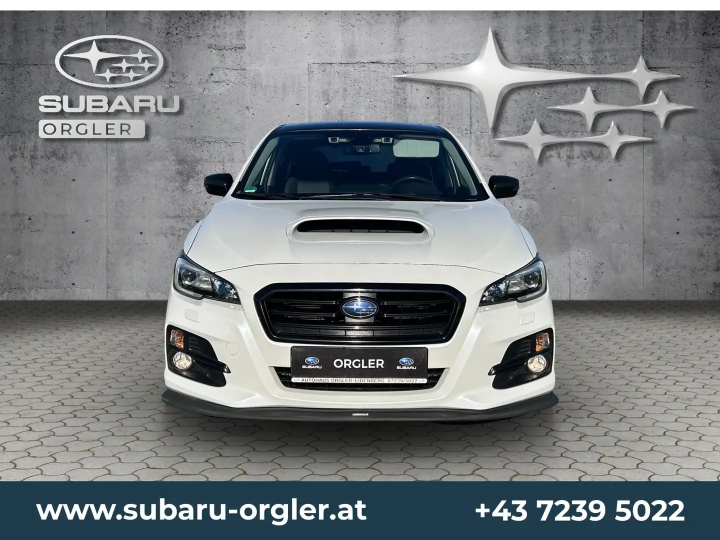 Subaru Levorg Levorg 1,6 GT-S Exclusive Weiß - 2