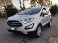 Ford EcoSport EcoSport 2019 1.0 ecoboost Plus 100cv Argento - thumbnail 1