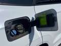 Skoda Karoq 2.0 TDI SCR 4x4 DSG Ambition Weiß - thumbnail 13