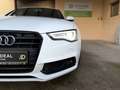 Audi A5 3X S-LINE 2.0 TDI QUATTRO 190CV Blanc - thumbnail 7