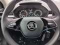 Skoda Fabia Tour Automatik Apple CarPlay LED Klima Grau - thumbnail 10
