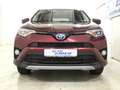 Toyota RAV 4 Hybrid Edition-S, beh.Lenkrad, LED, App, Navi Rot - thumbnail 3