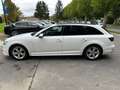 Audi A4 A4 Avant 2.0 TDI  - S Line Blanc - thumbnail 10