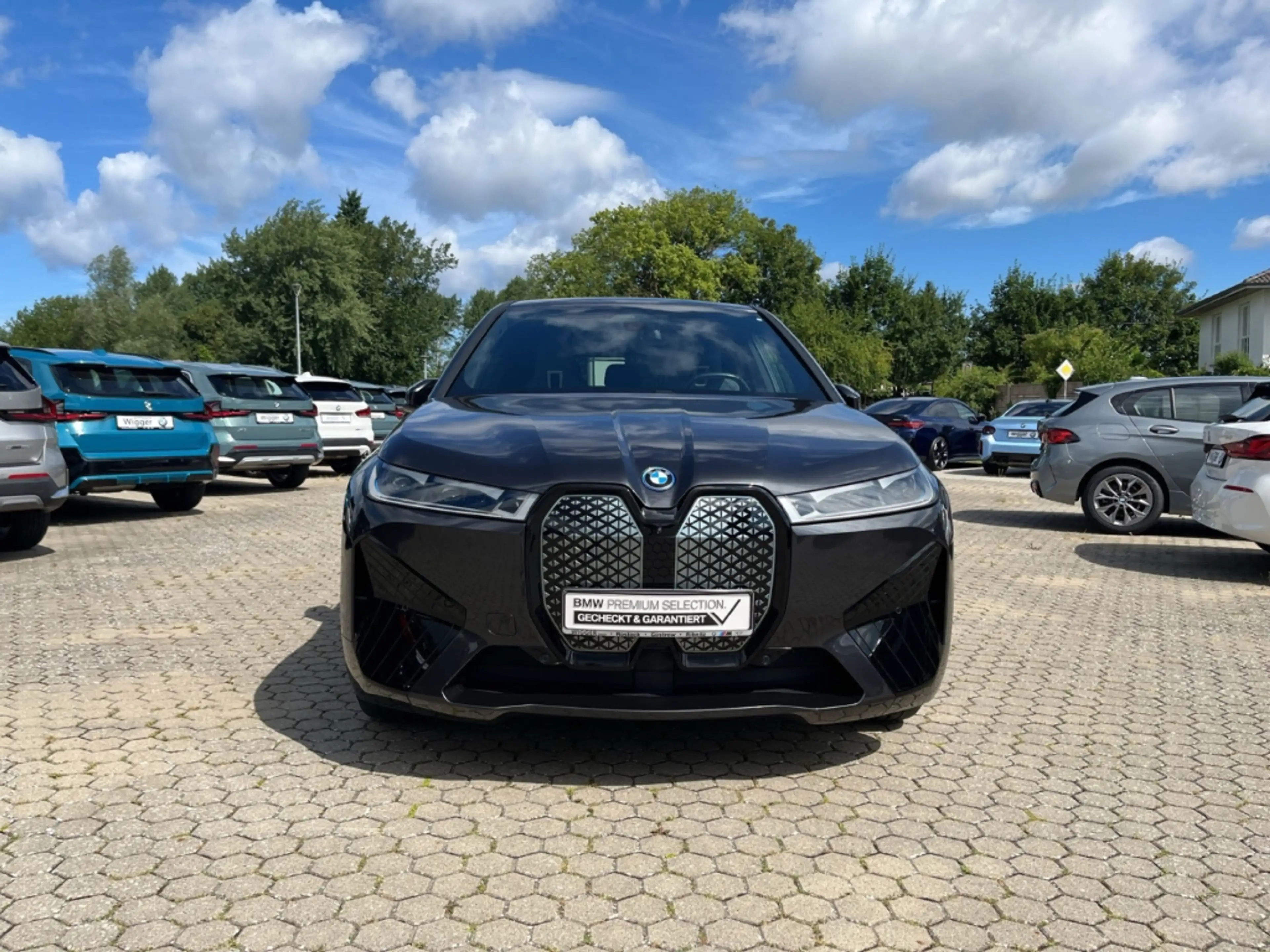 BMW iX Sport xDrive40/HUD/AHK/Panorama/HarmanKardon — photo 13