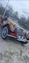 Jaguar Sonstige - thumbnail 2