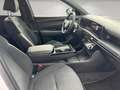 Hyundai TUCSON N-Line 4WD Hybrid 1,6 Automatik/KRELL/HeadUp/Matri Wit - thumbnail 14