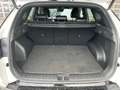 Hyundai TUCSON N-Line 4WD Hybrid 1,6 Automatik/KRELL/HeadUp/Matri Wit - thumbnail 12