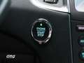 Ford S-Max 2.0TDCi Panther ST-Line Powershift 190 Blanc - thumbnail 16